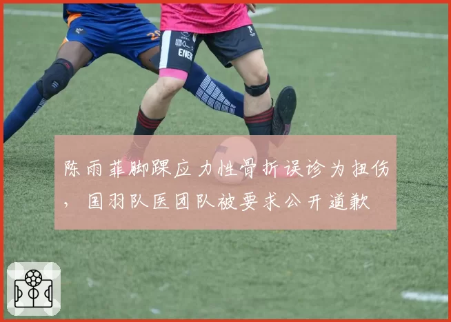 陈雨菲脚踝应力性骨折误诊为扭伤，国羽队医团队被要求公开道歉