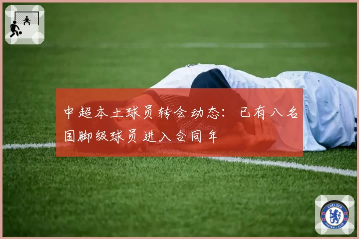 中超本土球员转会动态：已有八名国脚级球员进入合同年