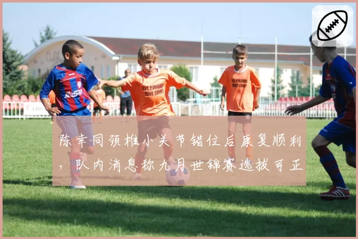 陈幸同颈椎小关节错位后康复顺利，队内消息称九月世锦赛选拔可正常应战