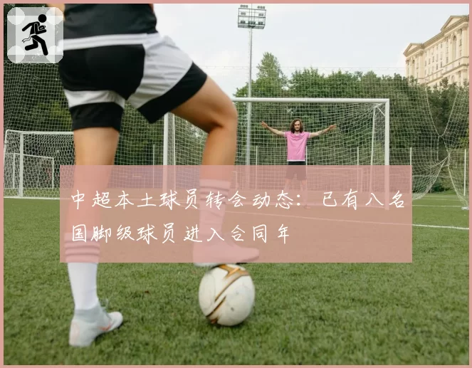 中超本土球员转会动态:已有八名国脚级球员进入合同年